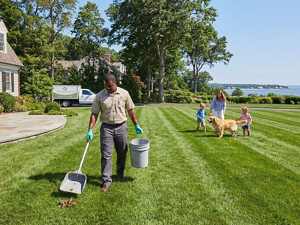 How Dog Waste Removal Keep Fairfield County Yards Clean