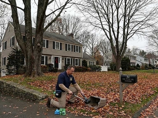Should You Schedule a Yard Cleanup Before the Holidays in Norwalk?