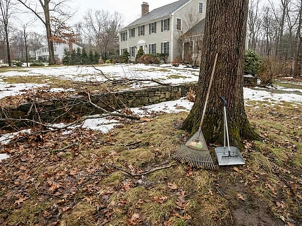 Does Your Fairfield County Yard Need a Deep Cleanup After Winter?