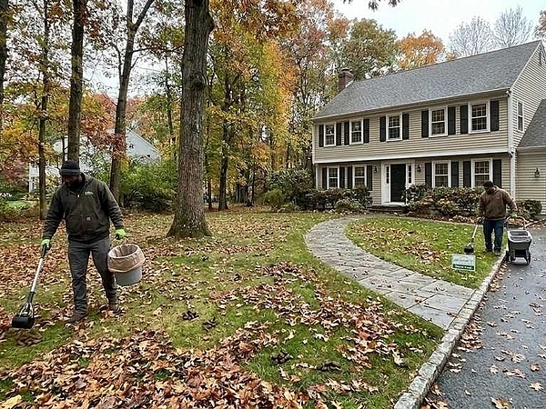 Do You Need More Frequent Cleanup During the Fall Season