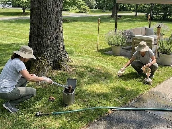 How to Keep Backyard Smells Under Control During Hot Fairfield County Summers