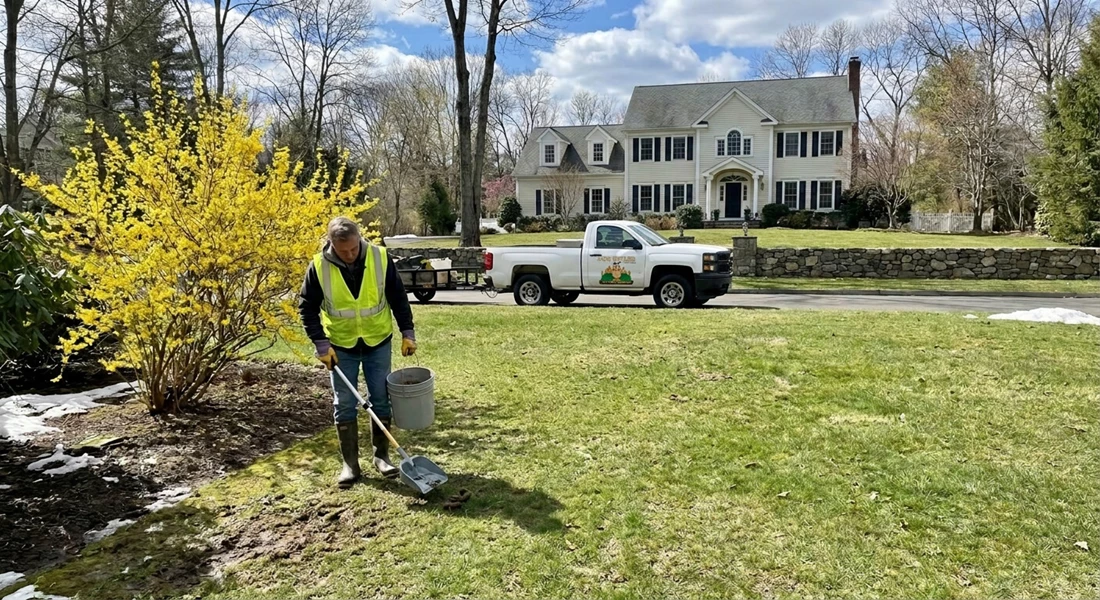 Is Spring the Right Time to Start Dog Waste Service in Fairfield County?