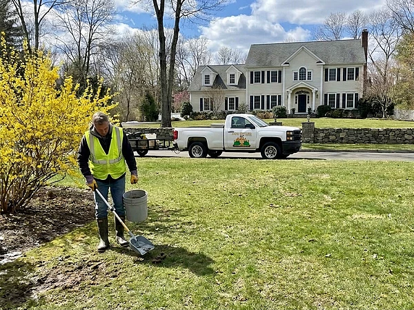 Is Spring the Right Time to Start Dog Waste Service in Fairfield County?