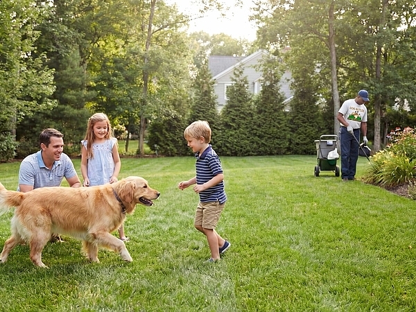 The Real Benefits of Never Having to Scoop Your Yard Again