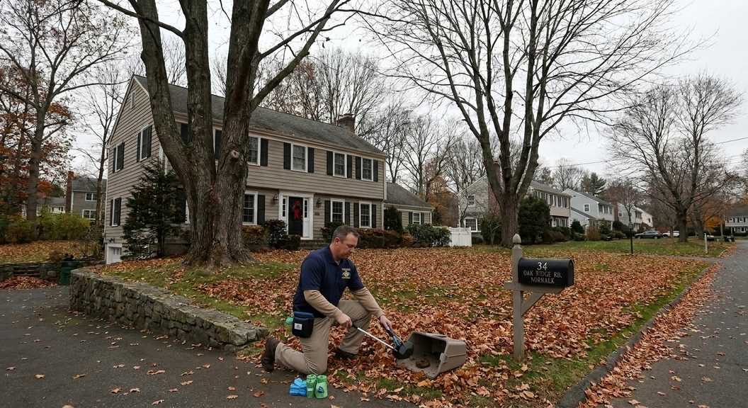 Should You Schedule Dog Waste Cleanup Before the Holidays in Norwalk